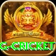 1st inning betting cricket VIP Edition v5.7.3