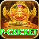 2022 world cup cricket Deluxe Edition v2.6.4