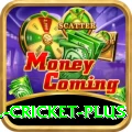 all cricket Casino Official v2.8.9