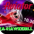 antigua hawksbill Games (Casino & Earning) Turbo v5.0.0