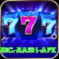 bbl big bash apk Apps (Tools & Injectors) Max v4.7.5