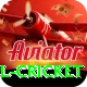 bbl cricket Apps (Tools & Injectors) VIP v3.0.1
