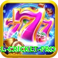 bbl cricket Royal - Win Real PKR