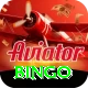 bingo Pro1 v5.7.0