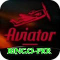 Bingo PKR Plus Pro v3.4.3