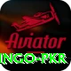 Bingo PKR Plus Pro v3.4.3