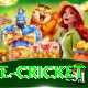 bpl live cricket App