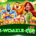 chris woakes Champion APK v1.9.7