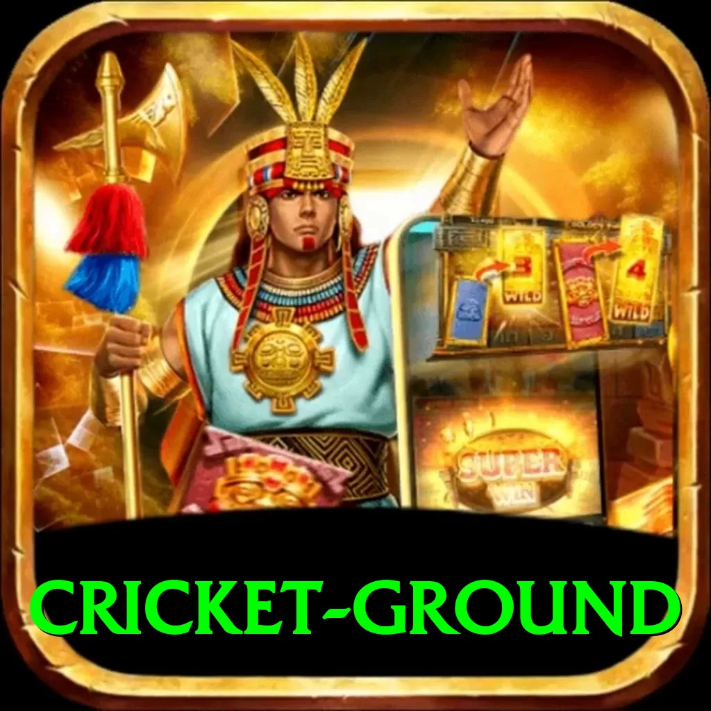 cricket ground Plus Edition v5.2.5 - 2