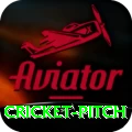 cricket pitch Games (Casino & Earning) Max v5.1.5