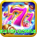 david gower Apps (Tools & Injectors) VIP v1.6.2