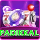 devdutt padikkal Premium Edition v1.3.1