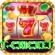 early payout cricket Apps (Tools & Injectors) Ultimate v4.4.5