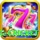 eng cricket Elite Pro v5.9.2