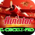 eng cricket - Royal v1.1.5