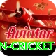fastest ball in cricket Turbo Pro v3.3.9