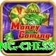 flying chess VIP v2.2.2