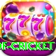 god of cricket Games (Casino & Earning) Plus v5.6.5