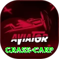 grass carp Games (Casino & Earning) Turbo v1.5.8