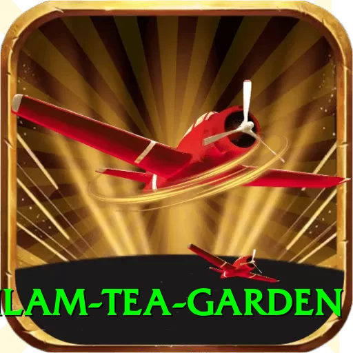 hile ilam tea garden VIP Edition v1.4.0 - 2