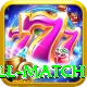 ind all match Plus v3.6.3