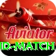 india new zealand match Ultimate v2.1.0