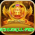 india next cricket match schedule Game Champion v2.6.4