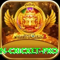 india pakistan cricket Deluxe v3.0.8