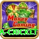 india sri lanka cricket Gold Pro v2.0.3