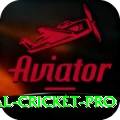 international cricket App Ultimate v4.8.0