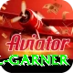 joel garner Master Pro v3.6.5