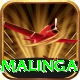 lasith malinga Games (Casino & Earning) Max v4.9.4