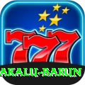 makalu barun Pro Edition v4.3.1