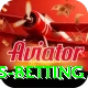 match highlights betting Elite v5.3.4