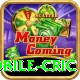 mobile cric Deluxe Pro v3.8.3