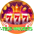 most test wickets Deluxe Edition v5.9.3