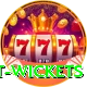 most test wickets Deluxe Edition v5.9.3