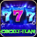 mumbai cricket team VIP Pro v5.3.5