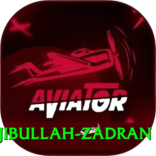 najibullah zadran Premium Plus v1.2.3 - 2
