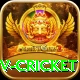 ndtv cricket Gold Edition v5.5.6