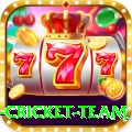 netherlands cricket team App