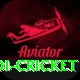 odi cricket Plus