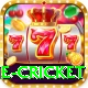 one cricket Plus v5.3.9