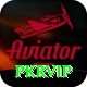 pkrvip Apps (Tools & Injectors) Pro vv5.5.5