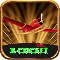 r cricket Pro Max v2.7.6