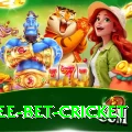 risk free bet cricket Gold Edition v1.9.4