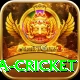 sa cricket Plus v2.7.2