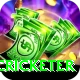 shahrukh khan cricketer Deluxe Edition v4.2.0