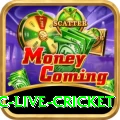 smartcric live cricket Games (Casino & Earning) Pro v5.5.3