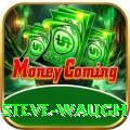 steve waugh Turbo Pro v1.0.5